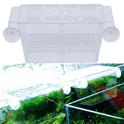 Fish Breeding Box Tank Aquarium Fish Tank Guppy Double Breeding Breeder Rearing Trap Box Hatchery Aquarium Isolation Box for Baby Shrimp Guppy