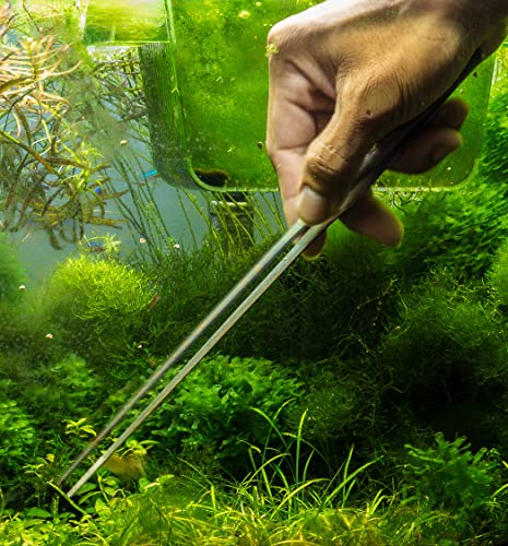 Mandala Crafts Stainless 12" Aquascape Tool Kit for Aquarium Terrariums - color: Stainless Steel 5-in-1 Kit, size: 12 Inches