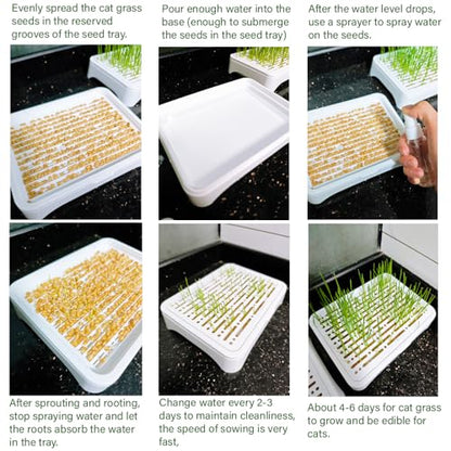 2-Pack Cat Grass Planter (No Seeds Included), Tri-Section Design, Anti-Pull Out Cat Grass Seed Starter Tray, Sprouts Growing Kit, Microgreens Growing Trays