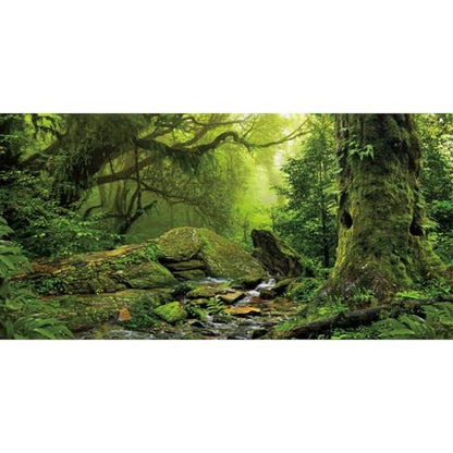 Forest Green Tree Terrarium Backdrop Reptile Habitat Background 24x12 in | AWERT Tropical Foggy Rainforest Stream Aquarium Durable Polyester Background - size: 24 x 12 inches