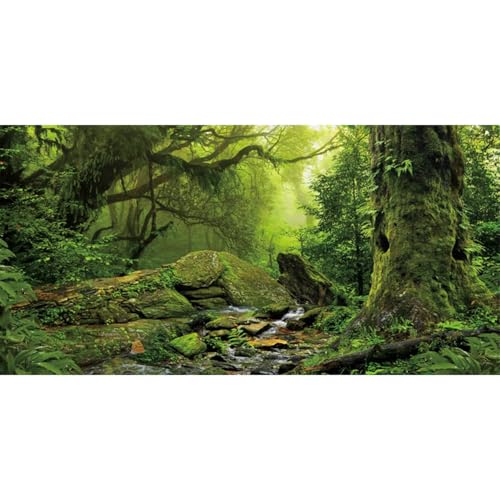 Forest Green Tree Terrarium Backdrop Reptile Habitat Background 48x20 in | AWERT Tropical Foggy Rainforest Stream Aquarium Durable Polyester Background - size: 48 x 20 inches