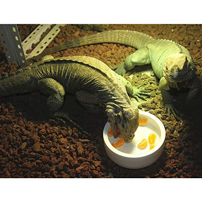 Reptile Food Water Bowl, 2 pcs Ceramics Worm Dish ,Anti-Escape Reptile Water Feeder ,Mealworm Bowl for Lizard Gecko Bearded Dragon, (S,M,L) (Large) - size: Large