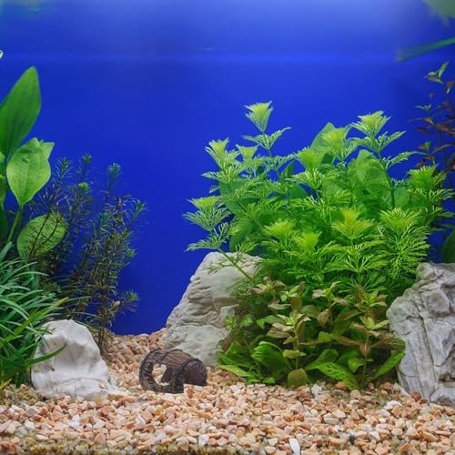 Fish Broken Barrel Decor: Betta Fish Hideout for Aquarium - Betta Tank Decoration Resin Cave Hideout Barrel Ornament for Shrimp, Cichlids