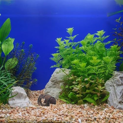 Fish Broken Barrel Decor: Betta Fish Hideout for Aquarium - Betta Tank Decoration Resin Cave Hideout Barrel Ornament for Shrimp, Cichlids