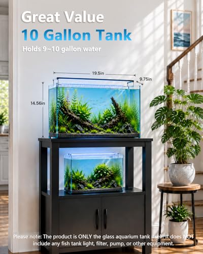 10 Gallon Glass Fish Tank Open-Back Lid, Aquarium Fish Bowl Cube for Betta Goldfish Snails Shrimp Aquatic Planting, Ultra Clear Rimless Low Iron - color: Transparency, size: 10 Gallon