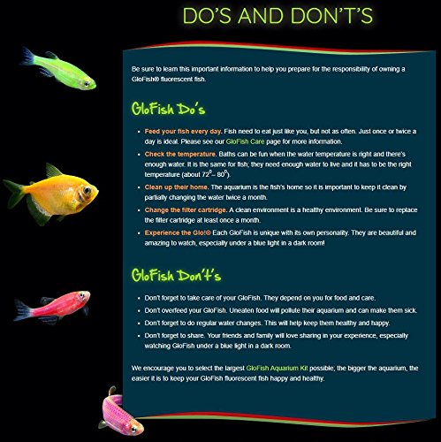 GloFish Aquarium Gravel, Pink/Green/Blue Mix, Complements GloFish Tanks, 5 Pounds - color: Pink/Green/Blue Fluorescent, size: 4 x 5 x 9 inches ; 5 pounds