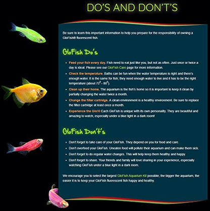 GloFish Aquarium Gravel, Pink/Green/Blue Mix, Complements GloFish Tanks, 5 Pounds - color: Pink/Green/Blue Fluorescent, size: 4 x 5 x 9 inches ; 5 pounds