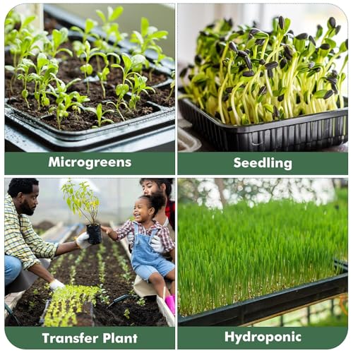 Sckee Upgraded 5 Pack Plant Growing Trays Seed Starting Tray Microgreens Growing Trays Seedling Plant Germination Starter Tray Transplant Fodder Flats, No Holes, No Leakage, Reusable (1017) - size: 1017