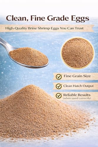 Premium Brine Shrimp Eggs – High Hatch Rate Artemia Cysts for Fish Fry, Reef & Aquarium Fish – Clean, Reliable Live Fish Food (0.7oz)