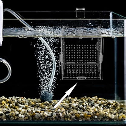 GANAZONO 1set Fish Isolation Box Cups and Hook Acrylic Fish Tank Hatching Incubator for Betta and Shrimp Prevents Design for Easy Feeding and Safe Breeding