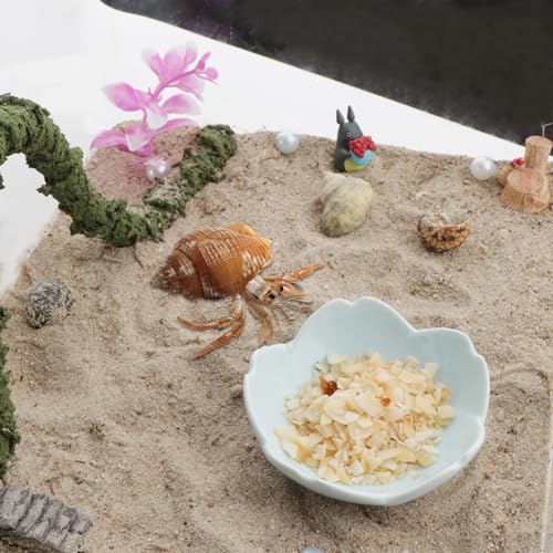 4 Pack Ceramic Food & Water Bowls Dual Dish Reptile Feeding Set for Hermits Crabs, Lizards, Geckos, Small Snakes and Snails