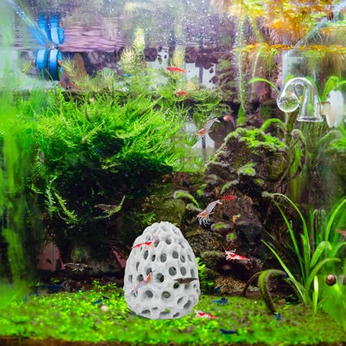 HINGTAI Shrimp Dome Hide Betta Habitat Fish Tank Tunnel with Suction Cup Aquarium Fish Cave Hideout Ornament Accessories for Shrimp Guppy Hiding Resting White - color: White