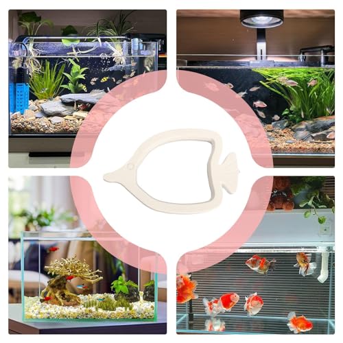 Aquarium Feeding Ring Thick Mini Floating Small Food Feeder | Aquarium Betta Food Holder for Guppy Saltwater Freshwater Tanks Home Habitat