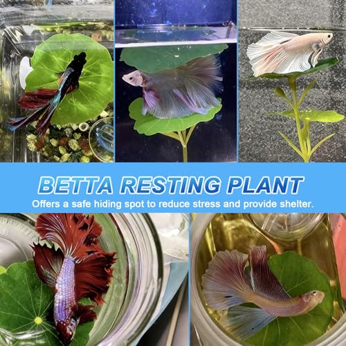 6 Pcs Betta Fish Toys, 4 Betta Rings, 1 Aquatic Plant & 1 Training Mirror, Betta Enrichment Toys for Betta Tank, Aquarium Interactive Play