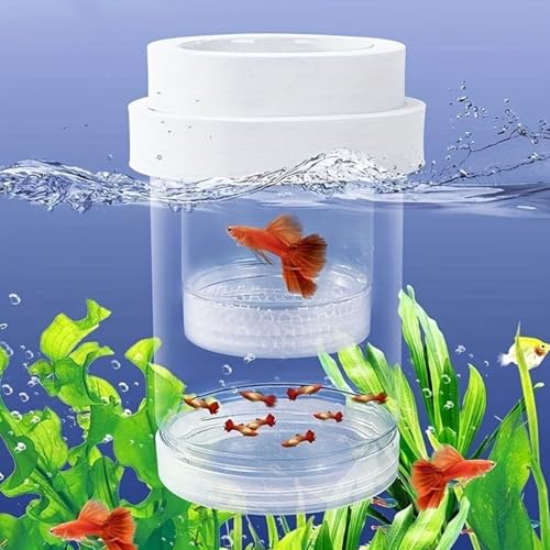 Aquarium Fish Tank Breeding Box, Floating Hatchery Isolation Cage with EVA Buoyancy Sponge Circle,Freely Adjustable Height Design,Large Size Rearing Container for Small Fish, Guppy - color: White, size: 5.6*3.6in