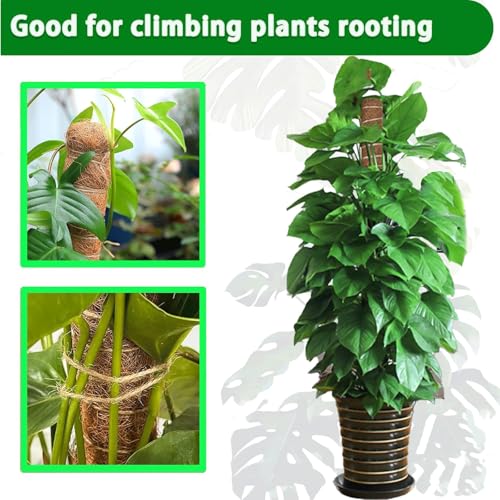 Moss Pole, 2Pack 21 Inch Plant Support Stakes for Indoor Plants, Monstera Plant Support Stakes, 37 Inch Tall Coir Plant Pole Sticks for Potted Plants, Pothos, Philodendron - size: 2pcs x 21 Inches