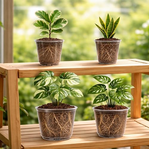 Bluepro Clear Nursery Pots with Drainage Holes, 5/6/8/10 Inch, 16-Pack | Clear PET, 4 Each of Four Large Sizes, Root and Moisture Visibility, Flexible, Reusable, Repotting and Plant Care - size: 5/6/8/10 Inch-16Pcs
