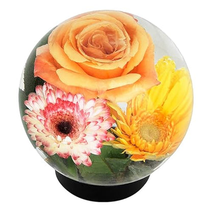 Achla Designs Flower Aquariums Glass Vase Set – Pack of 6 Glass Orb Flower Display Vases with Floral Frog Bases, Water Filled Flower Magnifier Centerpieces for Home or Events