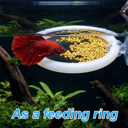 2 PCS Betta Fish Exercise Ring, 2 Exercise Training Ring and 1 Fish Mirror with Balls Betta Enrichment Toys with Suction Cup for Small Medium Fishes Bettas Aquarium, White