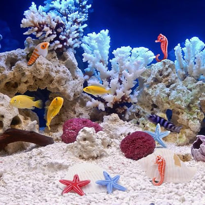 TENDYCOCO Mini Beach Seashells Sea Star Seahorse Natural Conch for Home Decorations Beach Theme Party Wedding DIY Crafts Fish Tank Vase Fillers Bonsai Decor 48pcs