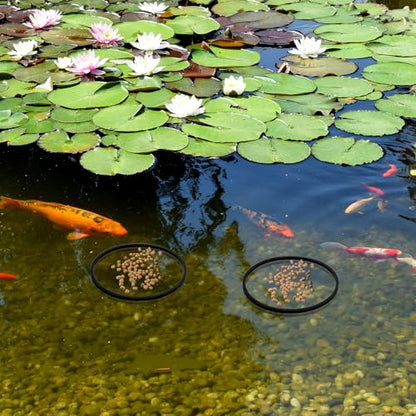5 Pcs Fish Feeding Ring,Aquarium Floating Plant Rings Aquarium Floating Plant Barrier Foam Floating Plant Corral Aquarium Feeding Ring Round Feeding Ring for Fish Tank,Black