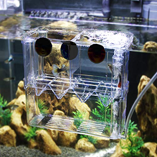 Acrylic Floating Fish Hatchery, Double Layer Fry Hatching Incubator Breeder Box for Aquarium Tank, Safe House for Fish Parenting