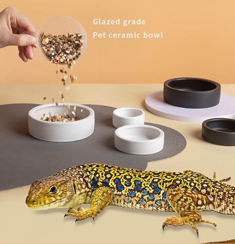 2 Pack Black Ceramic Reptile Food and Water Dish Anti Escape Bowl for Bearded Dragons Lizards Geckos and Leopards (Small) - size: Small