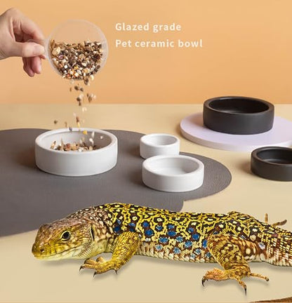 2 Pack Black Ceramic Reptile Food and Water Dish Anti Escape Bowl for Bearded Dragons Lizards Geckos and Leopards (Medium) - size: Medium