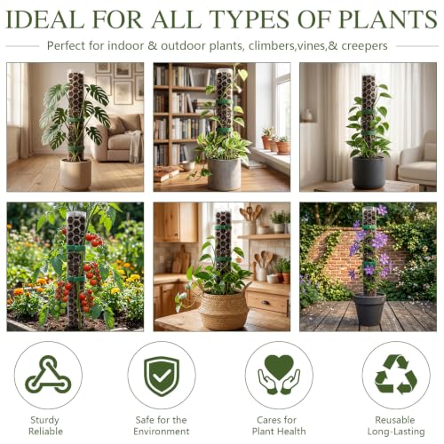 2 Pack 24 Inch,D Shape Plastic Moss Pole for Climbing Plants | Large Monstera Moss Pole Work With Sphagnum Moss, Large Apertures For Strong Aerial Root Grip,Garden Ties - size: 2 PACK-24Inch