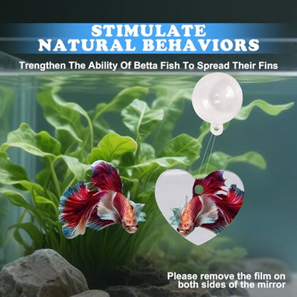 Betta Fish Toys, 2 PCS Heart Fish Exercise Ring and Nitrifying Balls Set, Heart Betta Mirror Toy Set, Feeding Ring with Suction Cup, Fishing Tank Accessories for Gifts (Purple) - color: Purple Heart