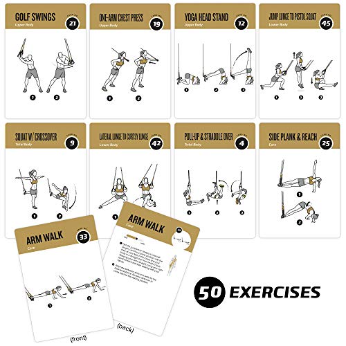 NewMe Fitness Suspension Workout Cards, Instructional Fitness Deck for Women & Men, Beginner Fitness Guide to Training Exercises at Home or Gym (Suspension, Vol 2) - style: Suspension Vol2