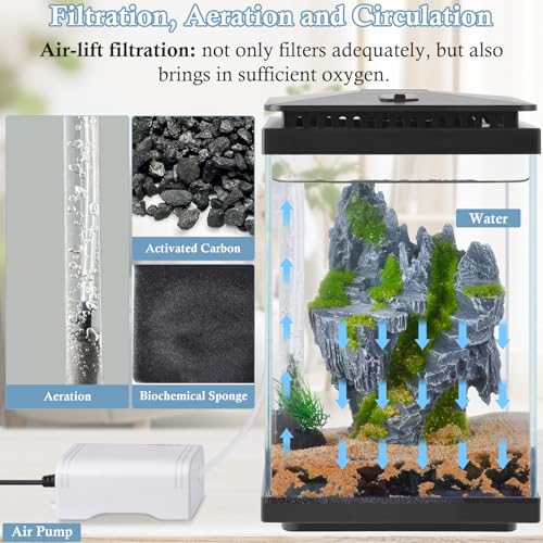 Small Glass Aquarium, 1 Gallon Desktop Fish Tank, Betta Fish Tank, Mini Aquarium Starter Kit with Air Pump LED Light Decoration Water Changer Fish Net (Black) - color: Black