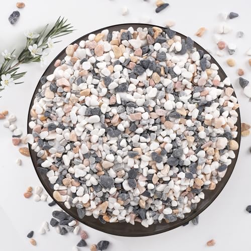 Pulovin 2.5 lbs Small Rocks for Plants, 1/5 Inch Pebbles for Indoor Plants, Natural Decorative Pea Gravel for Aquarium, Fish Tank, Terrarium, Succulents, Bamboo Plants, Vases, Cactus, Crafts - color: Mixed