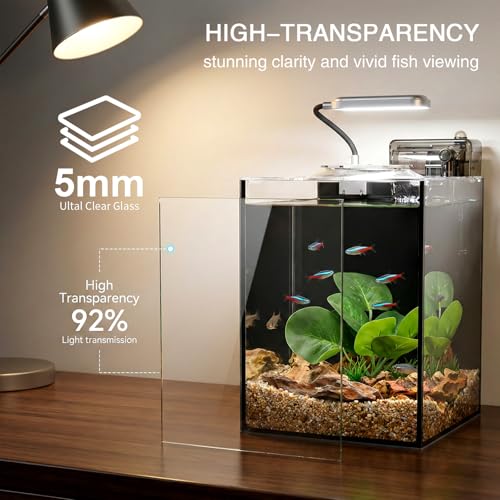2.2 Gallon Betta Fish Tank, Small Aquarium Kit,Glass Small Fish Tank,Betta Fish Tank with a lid and Light and Filter, Small Transparent Glass Fish Tank with Light and Filter(Black Glass Background) - size: 2.2 Gallon