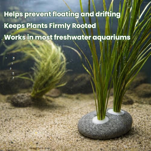 5-Pack Natural River Stone Aquarium Plant Weights, 0.79 Inch Hole | 3 Single-Hole and 2 Double-Hole Anchors, No-Tie Stem Insertion, Reusable, for Bare-Bottom and Planted Tanks
