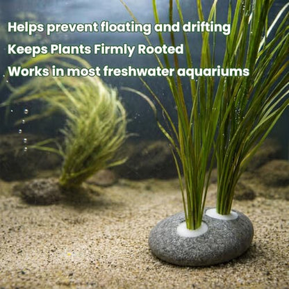 5-Pack Natural River Stone Aquarium Plant Weights, 0.79 Inch Hole | 3 Single-Hole and 2 Double-Hole Anchors, No-Tie Stem Insertion, Reusable, for Bare-Bottom and Planted Tanks