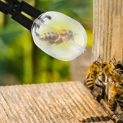 5PCS Reptile Feeding Clamps, Reptile Scoop for Poop, Cleaning Tools for Cage Fish Tank, Feeding Tools for Reptile, Hamsters, Lizard Gecko Snakes Bearded Dragon and Other Small Animals Supplies