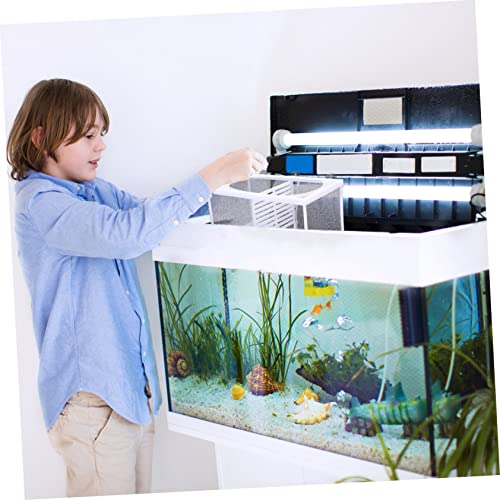 Fish Tank Isolation Box Multifunctional Hatchery for Betta and Guppy Cups Easy to Clean for Fish Acclimation and Isolation