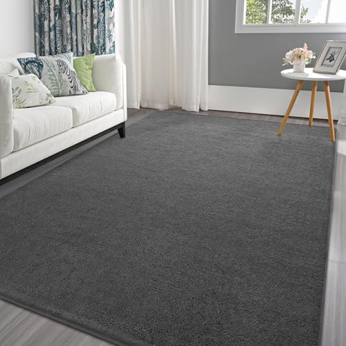 Pettop 4x6 ft Dark Grey Area Rugs for Bedroom Living Room, Washable Memory Foam Indoor Carpet, Modern Aesthetic Minimalist Non Slip Soft Comfy Carpet for Boys Girls Dorm Home Decor - color: Dark Grey, size: 4' X 6' (Rectangular)