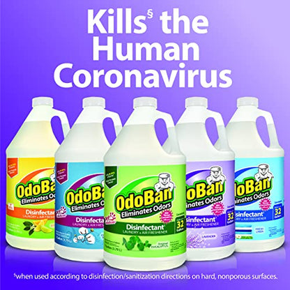 OdoBan Disinfectant Concentrate and Odor Eliminator, Made in the USA, Original Eucalyptus Scent, 1 Gallon - size: 128 Fl Oz (Pack of 1)