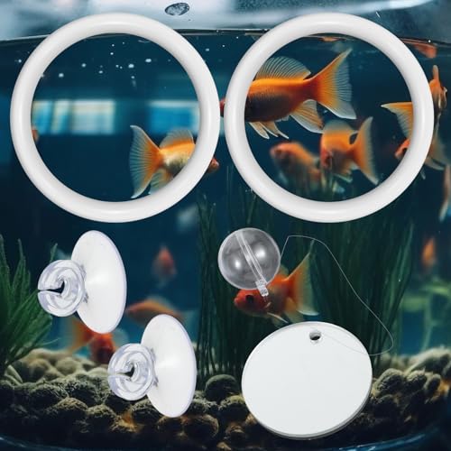 2 PCS Betta Fish Exercise Ring, 2 Exercise Training Ring and 1 Fish Mirror with Balls Betta Enrichment Toys with Suction Cup for Small Medium Fishes Bettas Aquarium, White