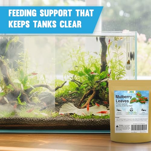 JOR Dried Shrimp Mulberry Leaves, 2 oz. Water Conditioner Leaf as Natural Food Source, Promotes Biofilm Growth & Induce Breeding in Aquatic Pets, Strengthen Exoskeleton & Reduces pH Levels