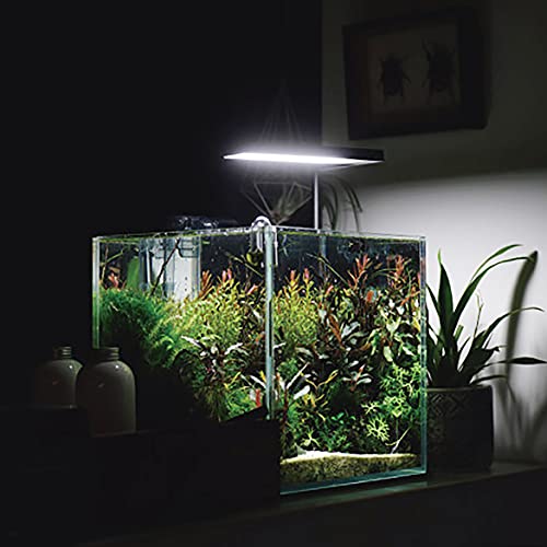 Allcolor Artisan Grade Ultra Clear Rimless Aquarium Tank (7Gal) | Low Iron Glass Fish Tank for Professional Aquascaping and Planted Layouts, 6-60 Gallons (7Gal - Top Glass Canopy) - size: 7Gal 11.8"L×11.8"W×11.8"H