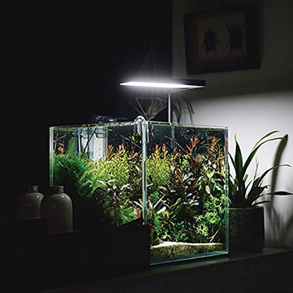 Allcolor Artisan Grade Ultra Clear Rimless Aquarium Tank (7Gal) | Low Iron Glass Fish Tank for Professional Aquascaping and Planted Layouts, 6-60 Gallons (7Gal - Top Glass Canopy) - size: 7Gal 11.8"L×11.8"W×11.8"H