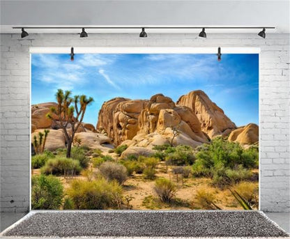 8x6ft Bearded Dragon Tank Background Durable Polyester Terrarium Background | Joshua Tree National Park Desert Cactus Sandstone Backdrop for Reptile Habitat Tank - size: 8x6ft