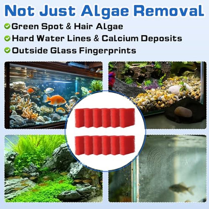12-Pack Aquarium Glass Cleaner Sponges, 3.25" x 3.25" x 1" | Non-Scratch Thick Durable Scrubber Pads, Safe for Glass Fish Tanks, Crystal Clear View, Red