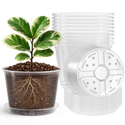 Bluepro Clear Nursery Pots with Saucers, 8 Inch, 8-Pack | Clear PET, Drainage Holes, Root and Moisture Visibility, Flexible, Reusable, Indoor/Outdoor Use, Propagation and Repotting - size: 8 Inch-8Pcs