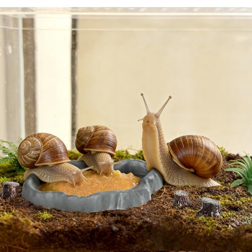 Snail Food and Water Bowl Terrarium Feeding Dish for Tank Supplies