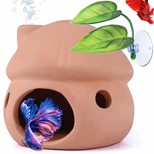 Betta Fish Tank Accessories,Pleco Caves for Aquarium,Fish Aquarium Decoration,Smalland Shrimp Breeding Cave Don't Contain Paint,Natural Ceramics Mushroom House