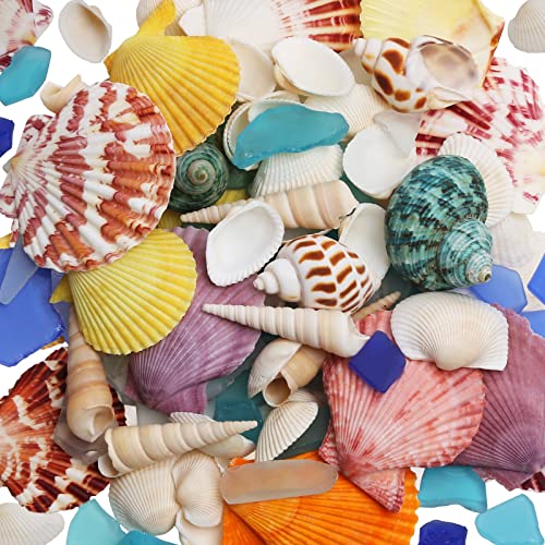 LUCKY BABY Sea Shells Mixed with Sea Glass 7 Ounces for Crafts, Natural Scallop Seashells for Decorating, Seaglass Decor for Fish Tank Vase Fillers Home Deco, Beach Themed Party Wedding | 7oz mix of natural scallop shells and sea glass for fish tank vase